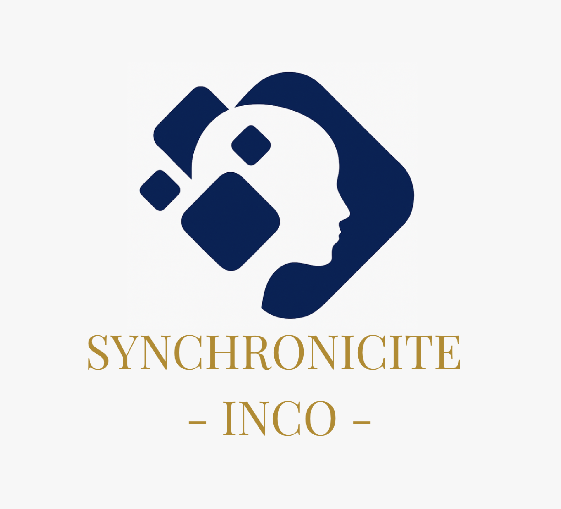 SYNCHRONICITE INCO